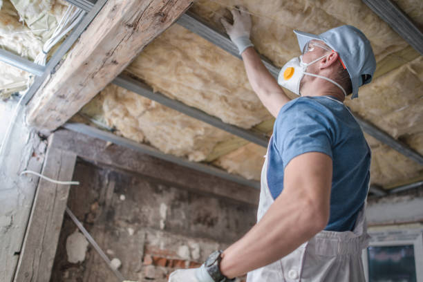 Best Insulation Installation Services in Lewiston, ID