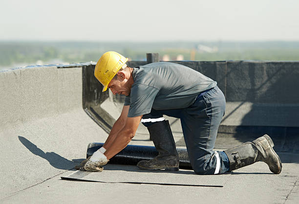 Best Insulation Installation Services in Lewiston, ID
